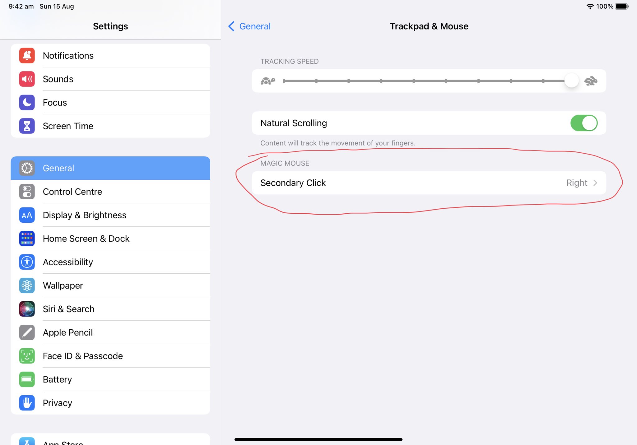 IPadOS Settings screen for mouse and trackpad